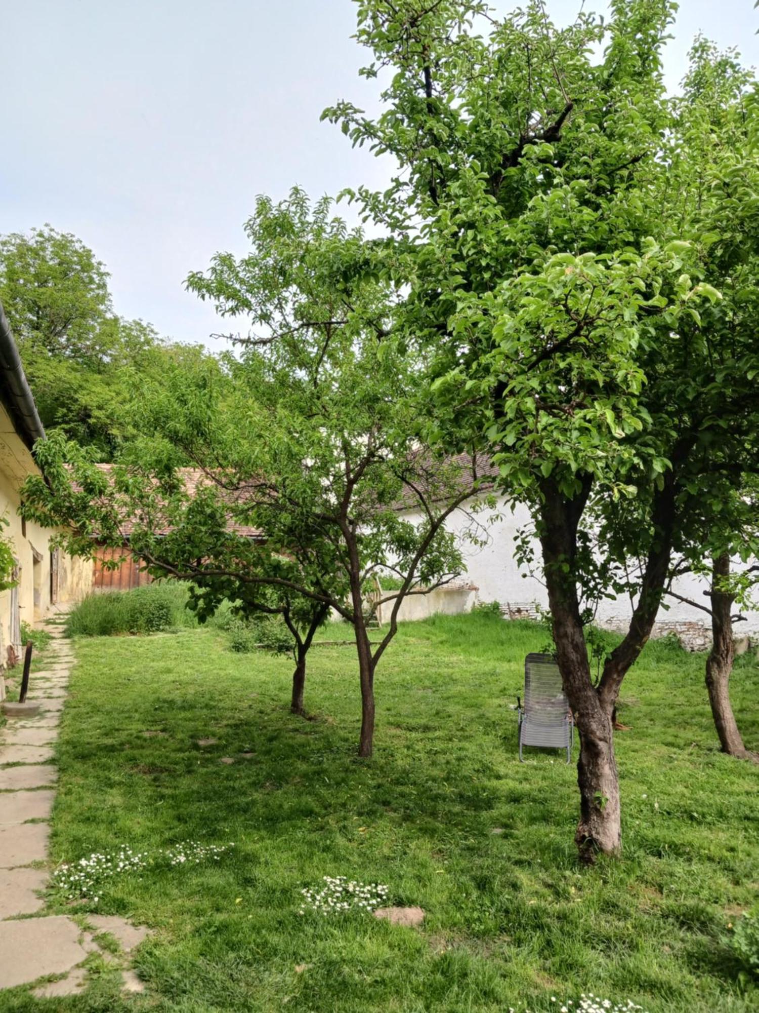 Casa Arthur Richis Richisu Luaran gambar